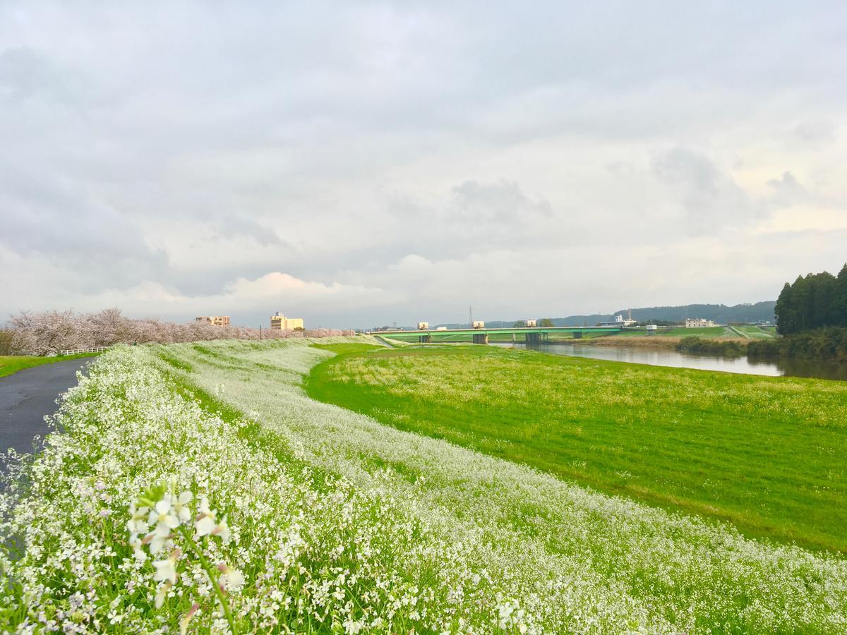 유토렐로 야마가 호텔 Yamaga 외부 사진